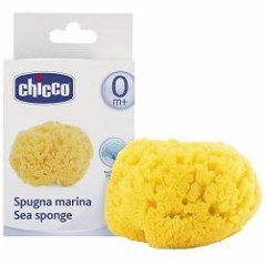 Ch spugna mare grande