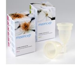 Mooncup copp mestr agr+30ann