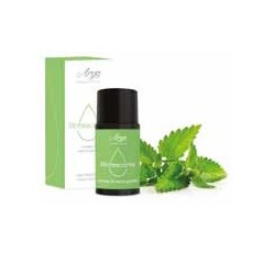 Arya hd sin olio rinf menta