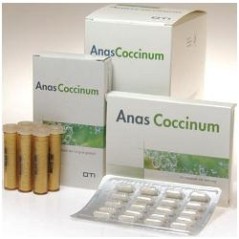 Anas Coccinum H17 OTI 30...