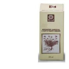 Fico gemme eanalco 50ml