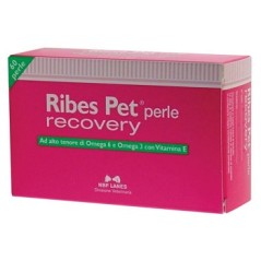 Ribes pet recovery 60prl