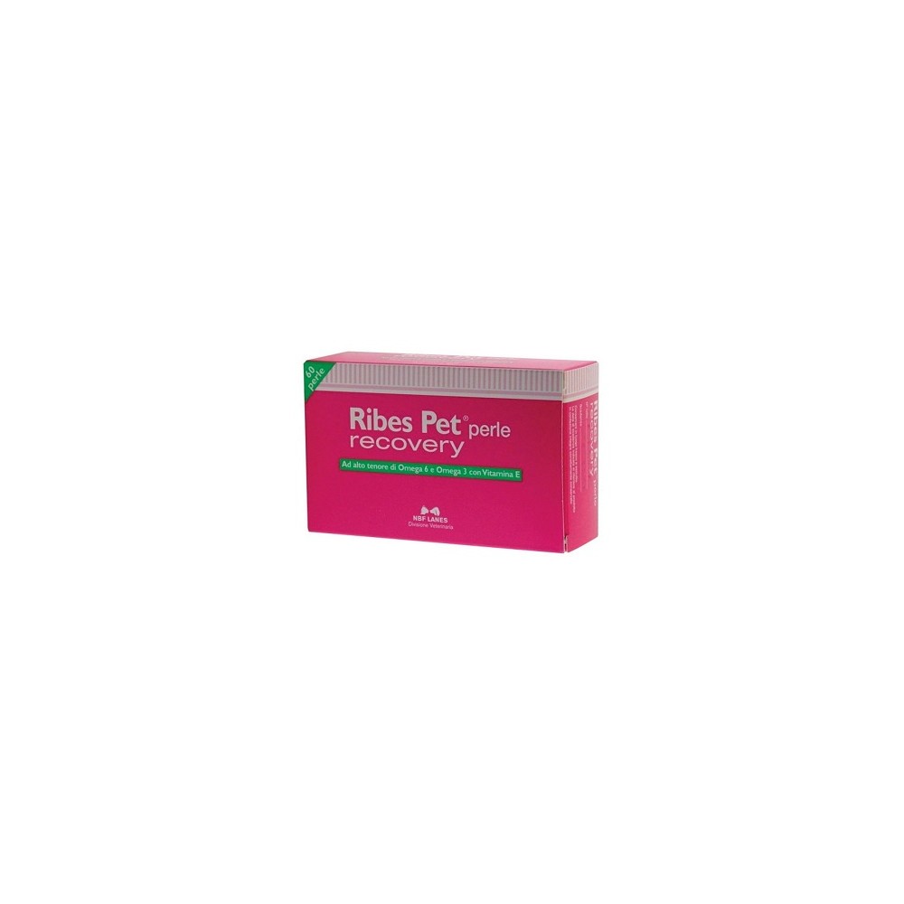 Ribes pet recovery 60prl