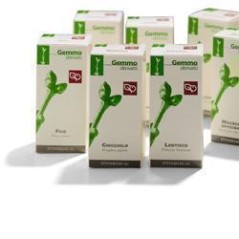 Magnolia den 50ml mg