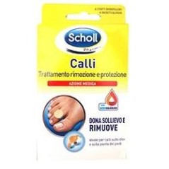 Scholl cer calliftrattr/prot