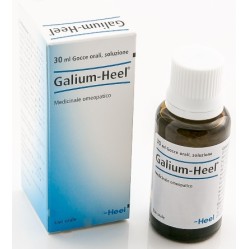 Galium 30ml gtt heel