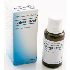 Galium 30ml gtt heel