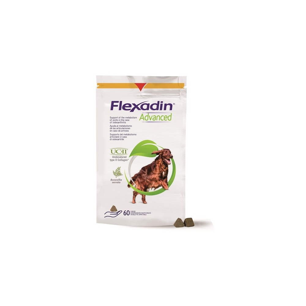 Flexadin advanced cane 60tav