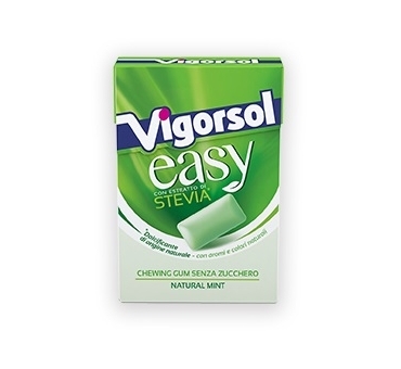 Vigorsol Easy Natural Mint - Chewing Gum con Stevia 29g