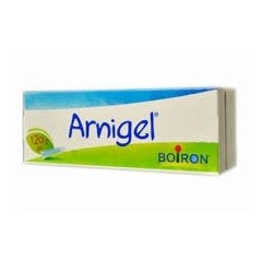 Arnigel 7% Gel In Tubo 120g