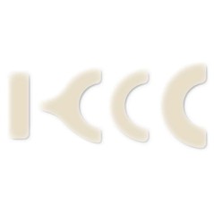 Cerotto elasticoc/rinforstom