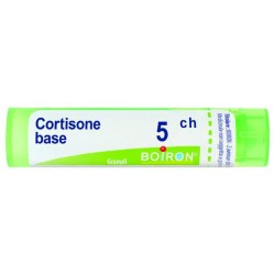 Cortisone 5ch gr