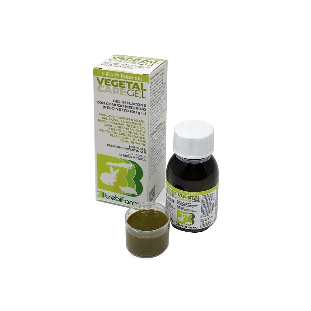 Vegetal care gel 100g