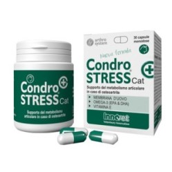 Condrostress + cat 30 capsule