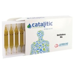 Catalitic mo 20f