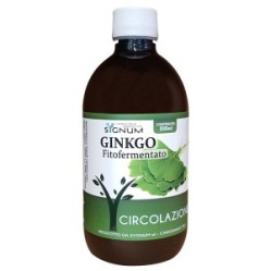 Ginkgo 500ml