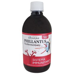 Phillantus 500ml