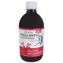 Phillantus 500ml