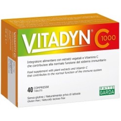 Vitadyn c 1000 40 compresse