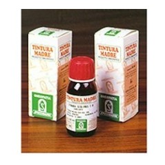 Amamelide 15 50ml tm