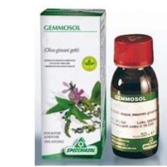 Gemmosol 15 carpino 50ml mg