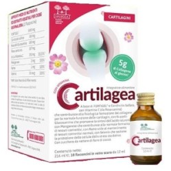 Cartilagea salugea 18 flaconi
