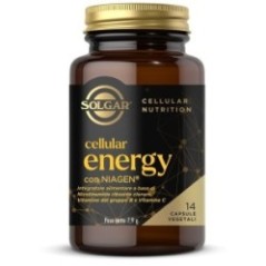 Cellular energy14cpsvegetali