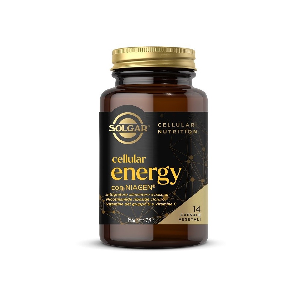 Cellular energy14cpsvegetali
