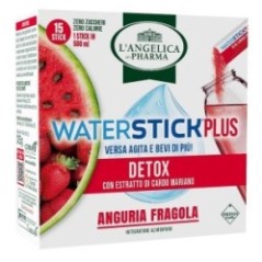L'angelica waterstick+ detox