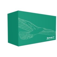 Spirit1 catet estu29mmade30p