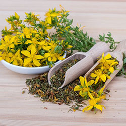 Erboristeria e fitoterapia